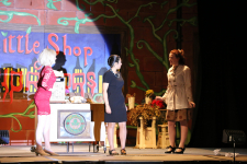 Little Shop of Horrors 227